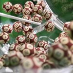 Online Lottery Betting